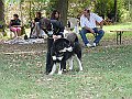 img 205